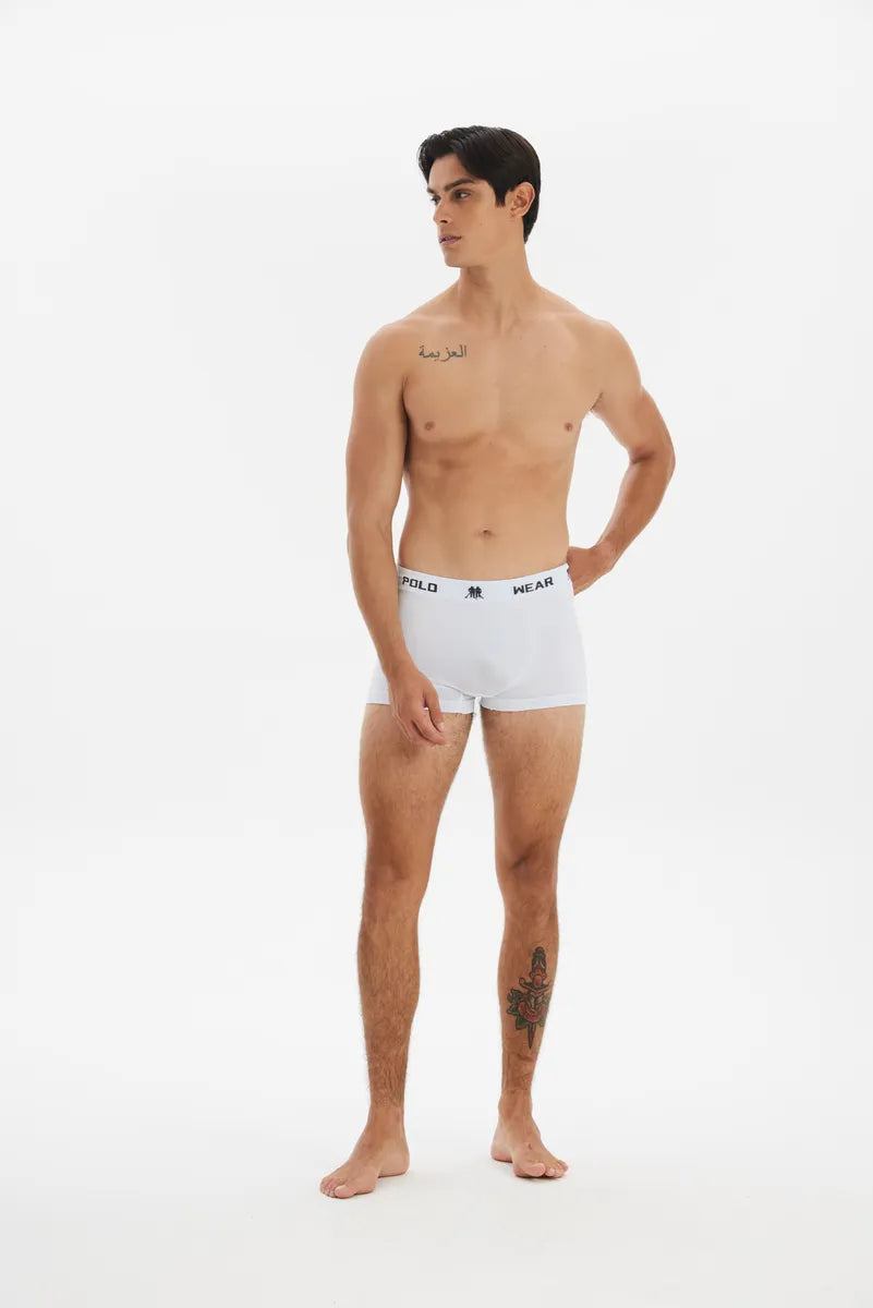 Kit 10 Cuecas Masculinas Boxer Microfibra Polo Wear Sortido